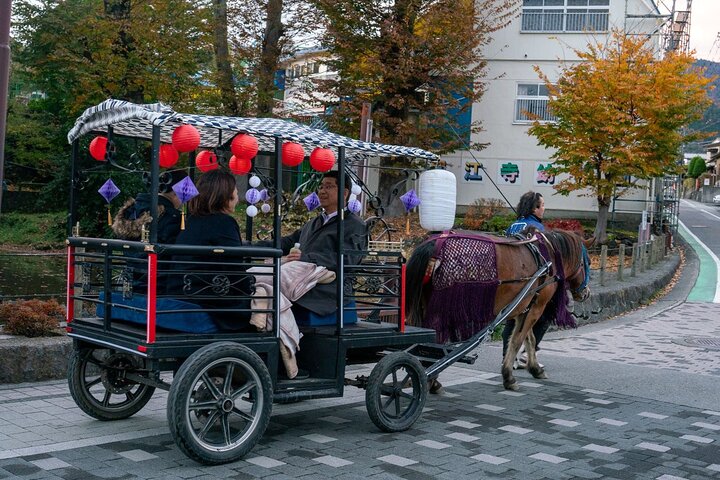 Horse-drawn carriage with Mt. Fuji Views