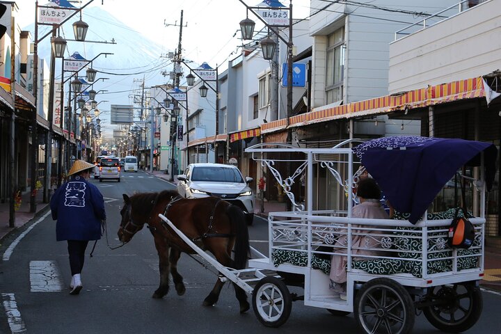 Horse-drawn carriage with Mt. Fuji Views