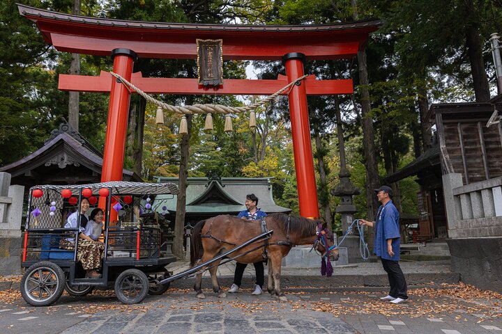 Horse-drawn carriage with Mt. Fuji Views
