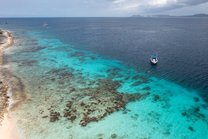 Private Snorkel Tour with Captain & Guide Bonaire Marine Park 4hr