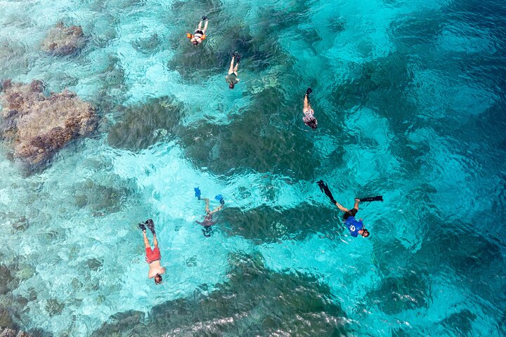 Private Snorkel Tour with Captain & Guide Bonaire Marine Park 4hr