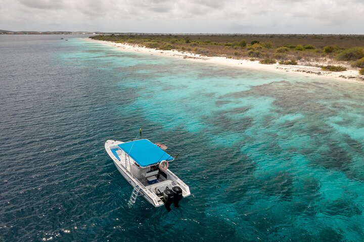 Private Snorkel Tour with Captain & Guide Bonaire Marine Park 4hr