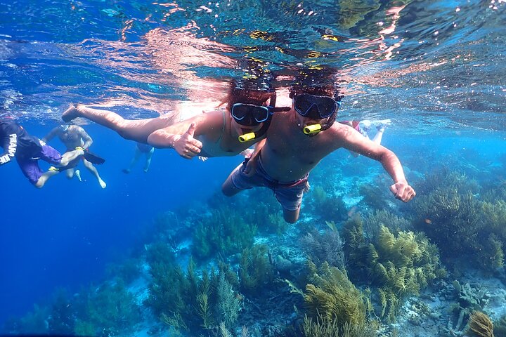 Private Snorkel Tour with Captain & Guide Bonaire Marine Park 4hr
