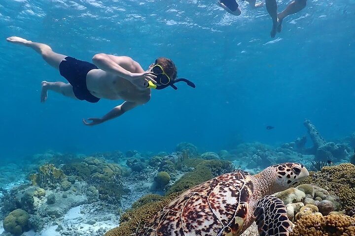 Private Snorkel Tour with Captain & Guide Bonaire Marine Park 4hr