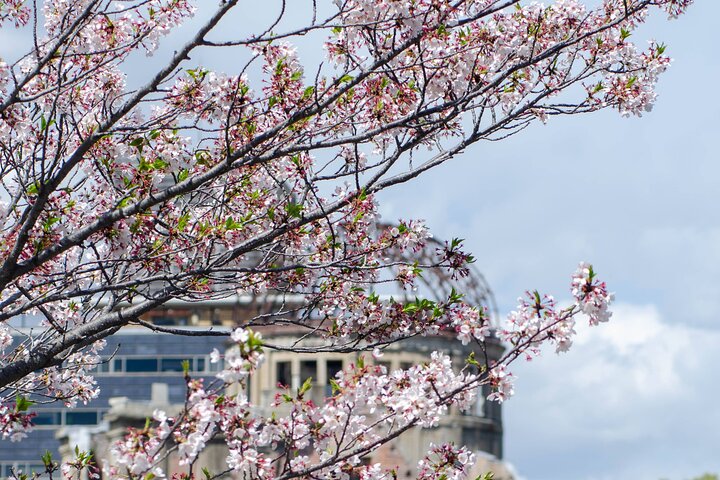 Hiroshima and Miyajima Private Guided Tour