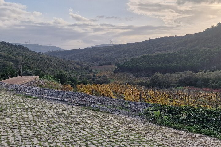 Lisbon Region Wine Tour: Mafra & Ericeira + Hotel Pick-Up