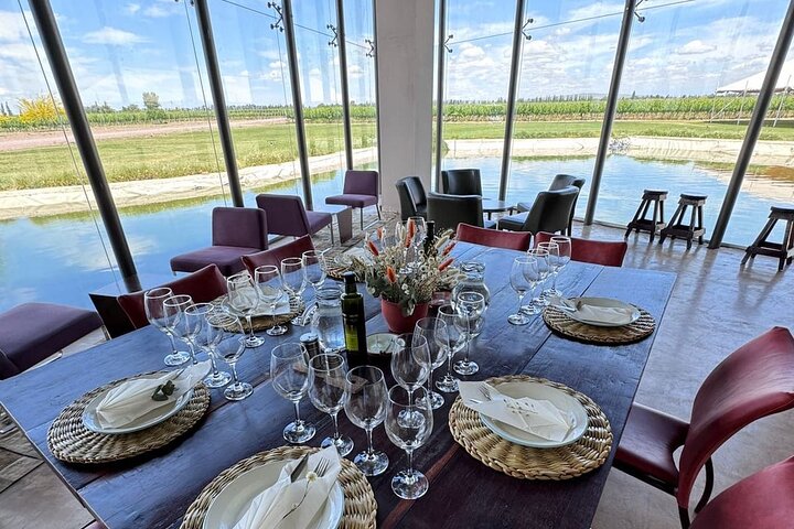 Maipu Tour 3 wineries with lunch + olive all inclusive!