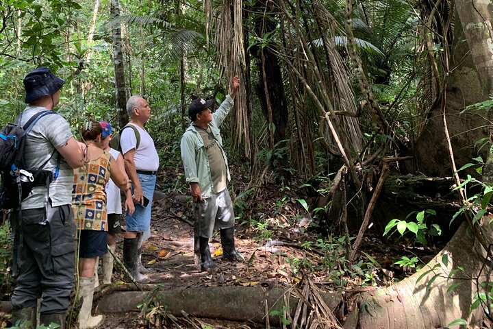 4 Days All Inclusive Jungle Tour from Iquitos at Maniti Eco Lodge