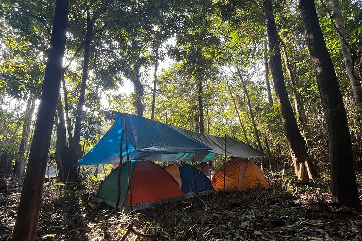 4 Days All Inclusive Jungle Tour from Iquitos at Maniti Eco Lodge