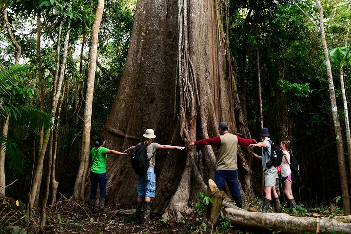 4 Days All Inclusive Jungle Tour from Iquitos at Maniti Eco Lodge