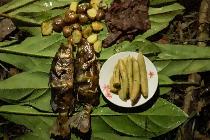4 Days All Inclusive Jungle Tour from Iquitos at Maniti Eco Lodge