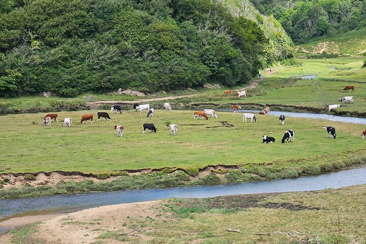 Three Cliffs Bay Circular Walk Gower Peninsula