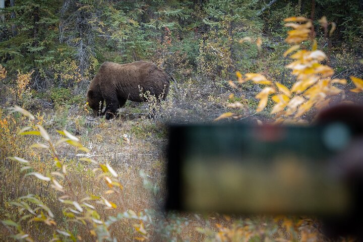 KLUANE NATIONAL PARK - Day-Trip from Whitehorse