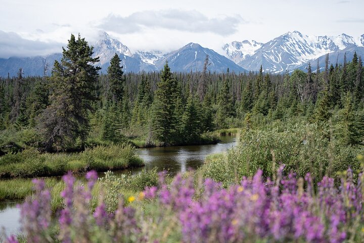 KLUANE NATIONAL PARK - Day-Trip from Whitehorse