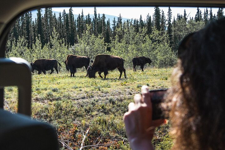 KLUANE NATIONAL PARK - Day-Trip from Whitehorse