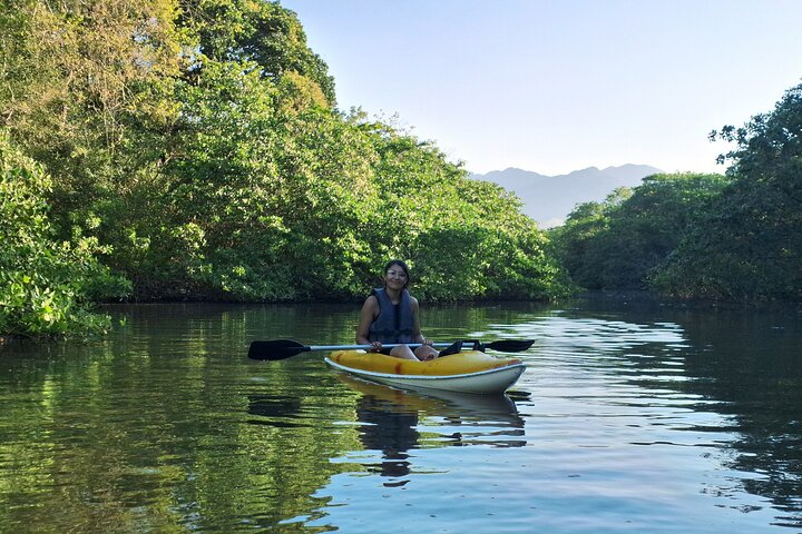 Kayaking Mangroves Natural reserve.