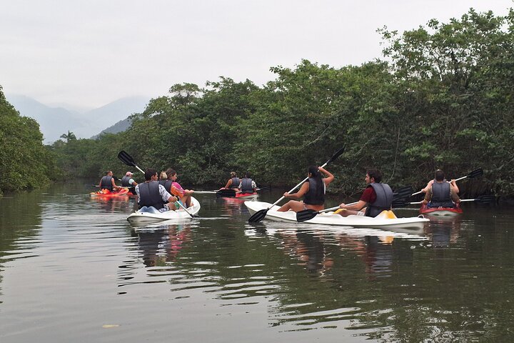 Kayaking Mangroves Natural reserve.