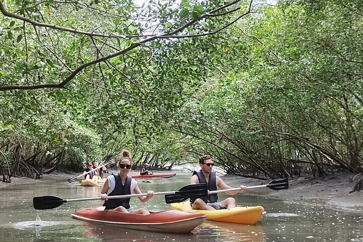 Kayaking to the mangroves & Capivaras