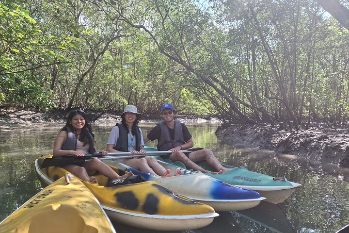 Kayaking to the mangroves & Capivaras