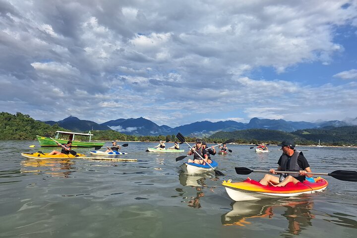 Kayaking to the mangroves & Capivaras