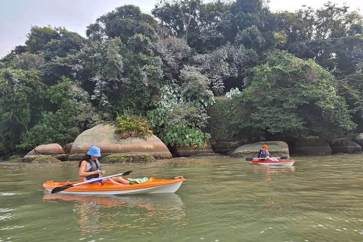 Kayaking Mangroves Natural reserve.
