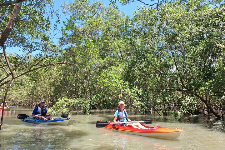 Kayaking to the mangroves & Capivaras