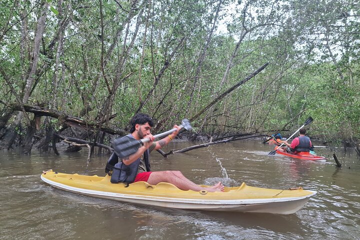 Kayaking Mangroves Natural reserve.