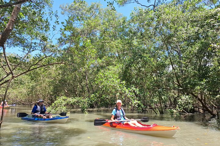 Kayaking Mangroves Natural reserve.