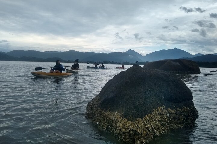 Kayaking Mangroves Natural reserve.