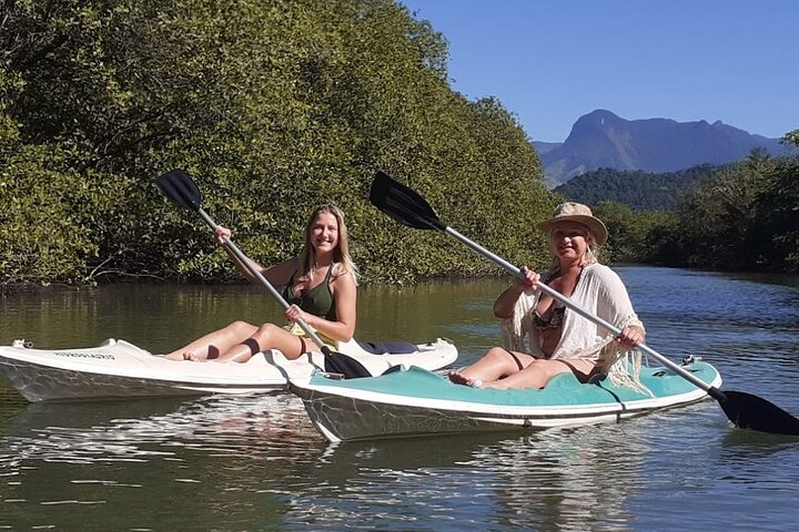 Kayaking Mangroves Natural reserve.