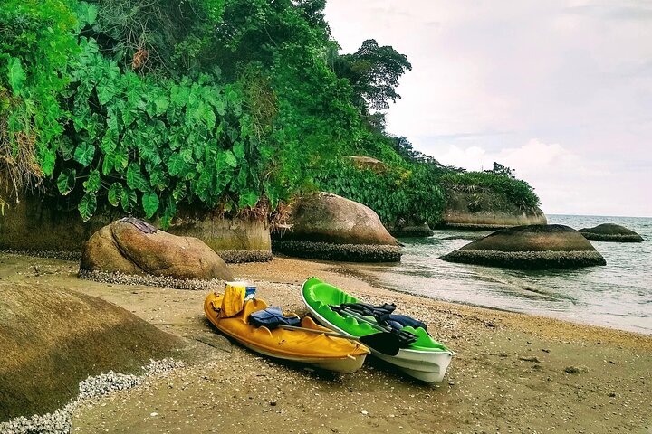 Kayaking Mangroves Natural reserve.