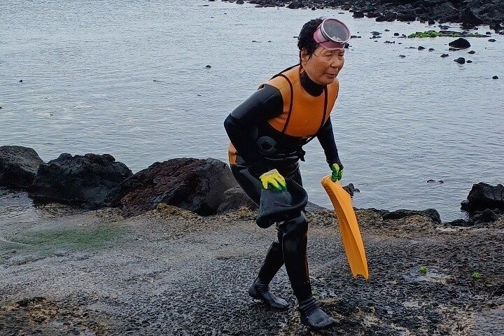 Jeju your way (private tour )