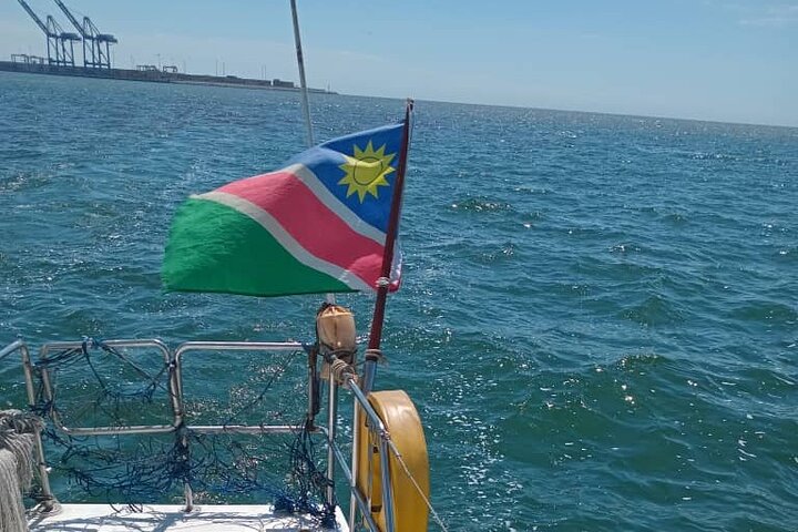 Dolphin and Seal Catamaran Cruise