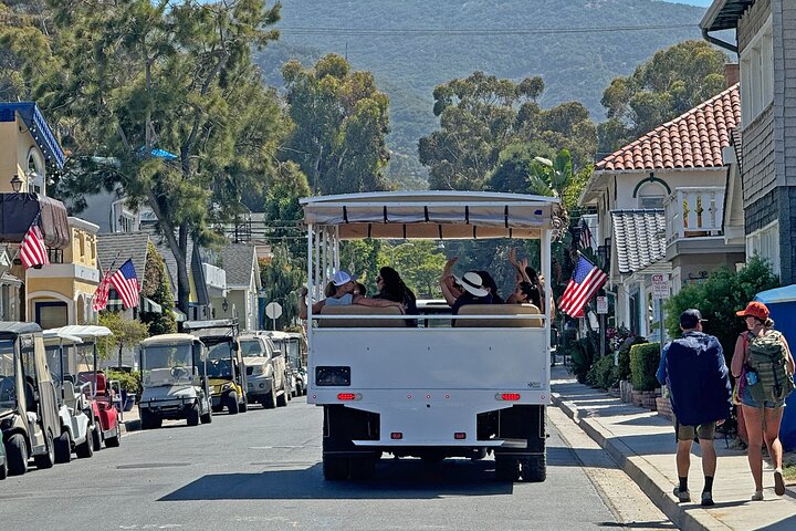 Catalina Island City and Scenic Mount Ada Tour