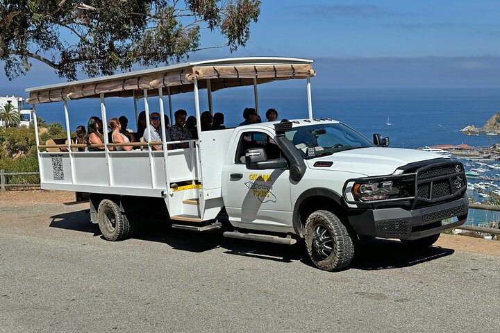 Catalina Island City and Scenic Mount Ada Tour