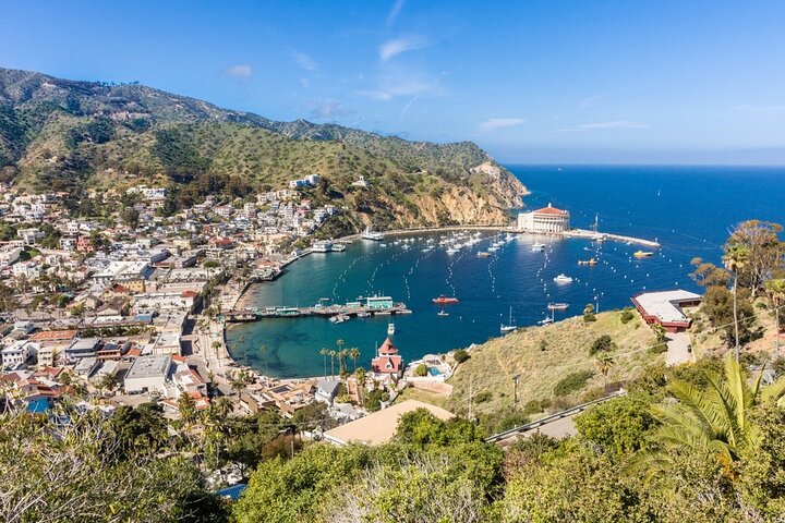 Catalina Island City and Scenic Mount Ada Tour