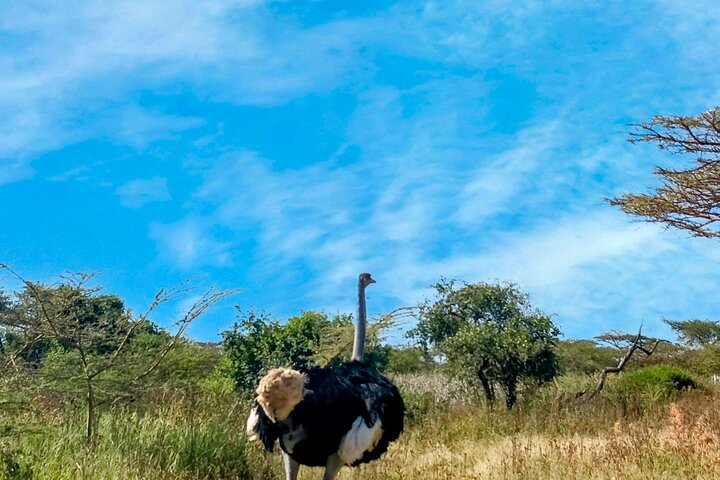 7 Day Private Tour to Omo valley tribes