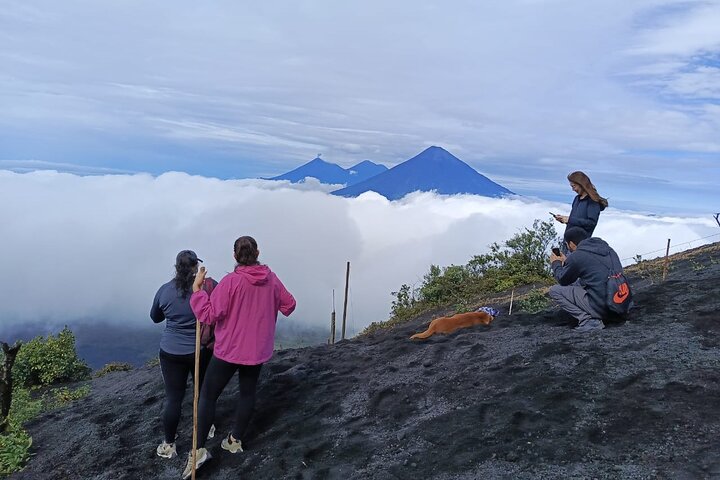 Hike to Pacaya Volcano from Antigua