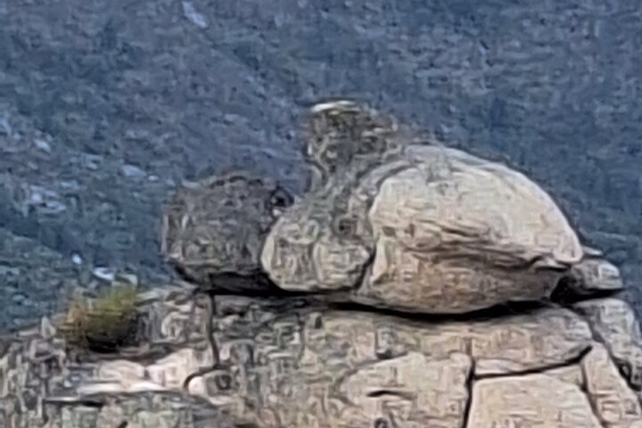 Sierra da Estrela Guided Hiking Tour - Wild Boar Route & Stories