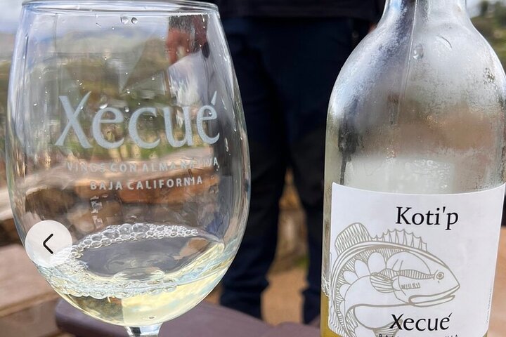 ATV Off-Road Adventure through Valle de Guadalupe + Winery Visit