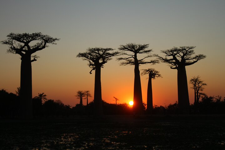 Adventure Tour West Madagascar | Nature and Discovery