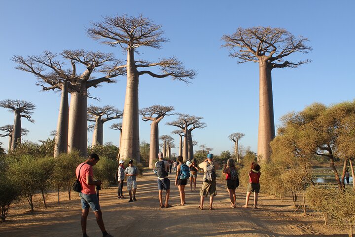 Adventure Tour West Madagascar | Nature and Discovery