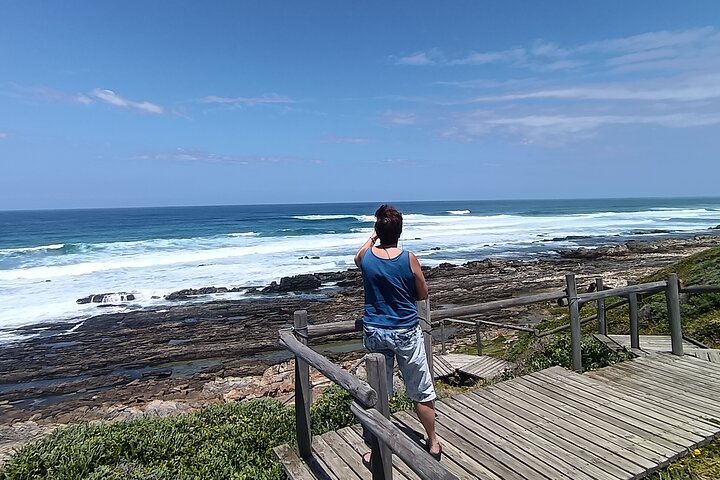 Guided Port Elizabeth Coastal Tour