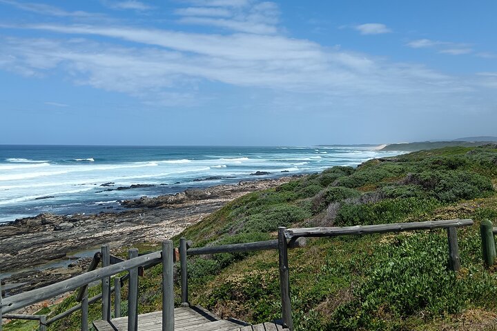 Guided Port Elizabeth Coastal Tour