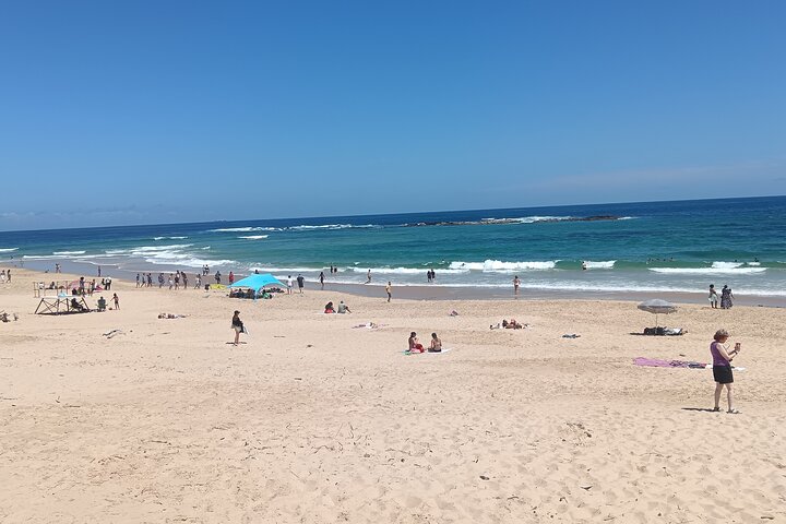 Guided Port Elizabeth Coastal Tour