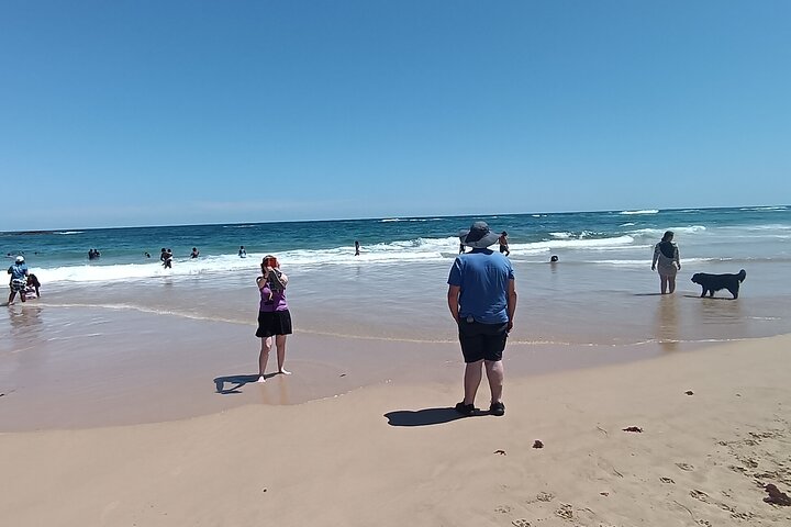 Guided Port Elizabeth Coastal Tour