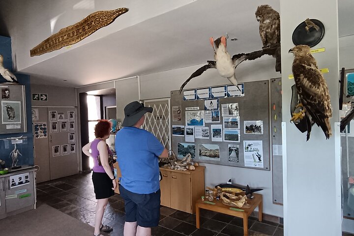 Guided Port Elizabeth Coastal Tour