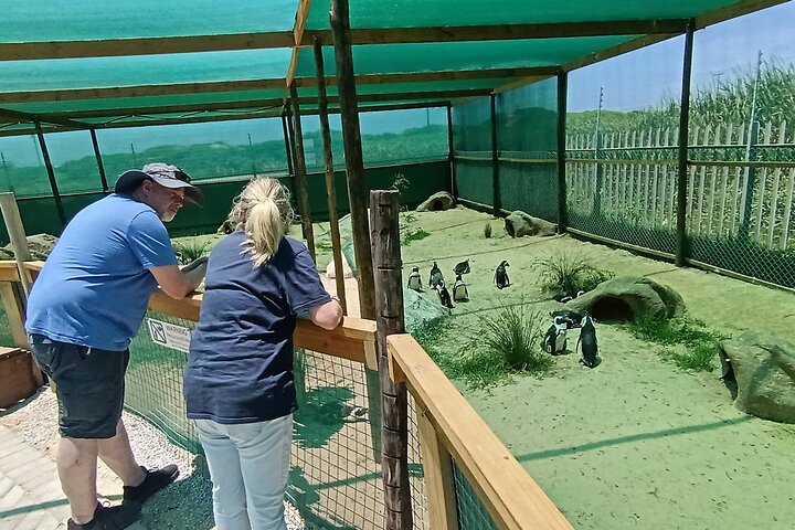 Guided Port Elizabeth Coastal Tour