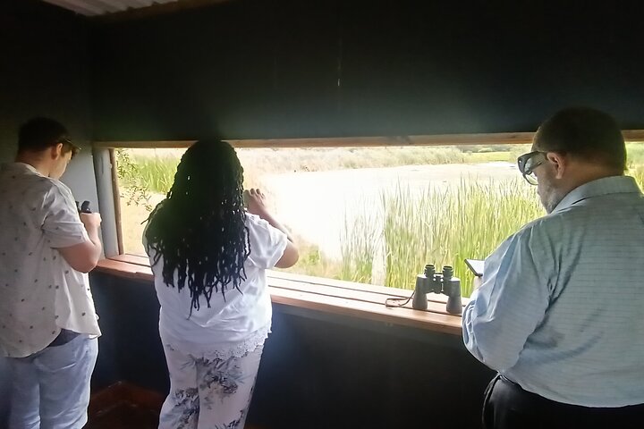 Kragga Kamma Game Park Safari Guided Tour in Port Elizabeth