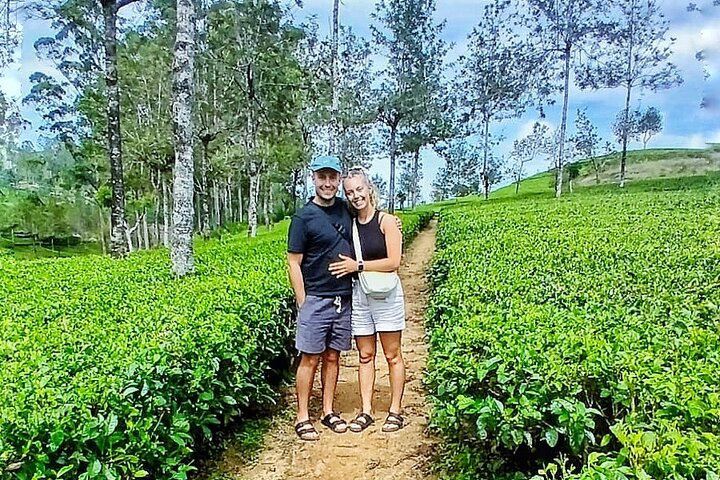 Day trip to ELLA & LIPTON's SEAT with Train Ride [ALL INCLUSIVE]